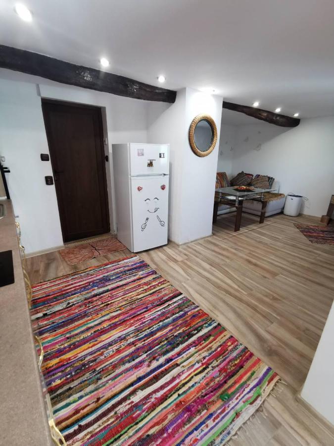 Arts Guest House -Beautiful Villa For 6 Persons ヴェリコ・タルノヴォ エクステリア 写真