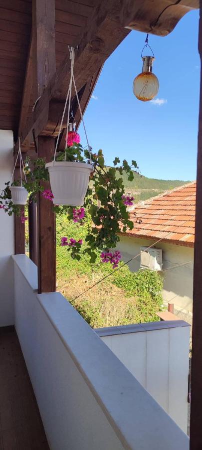 Arts Guest House -Beautiful Villa For 6 Persons ヴェリコ・タルノヴォ エクステリア 写真